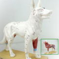 A05 (12005) Plastic Veterinarian&#39;s Dog Canine Anatomical Acupuncture Models 12005